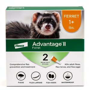 Advantage II Ferret Vet-Recommended Flea Treatment & Prevention | Ferret 1+ lbs. | 2-Month Supply-0