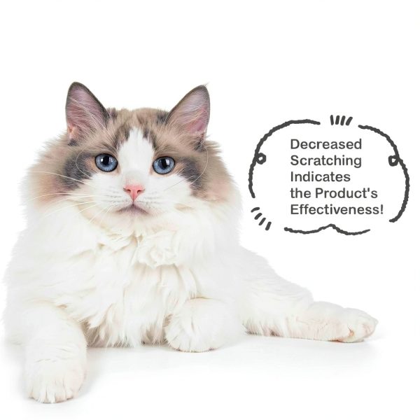 Flea and Tick Prevention for Cats & Kittens: Waterproof Topical Cat Flea and Tick Treatment – Fast-Acting & Long-Lasting At Home Flea Control for Cats Over 1.5 lbs and 8 Weeks or Older – 6-Dose Supply-4